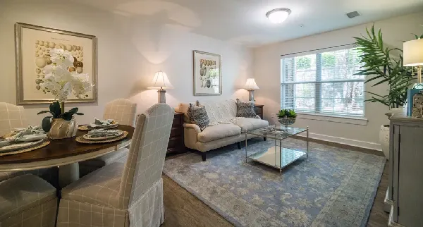 Homestead Hills Winston-Salem NC | Villa Apartment Living Room 2024-01